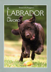 Il Labrador al Lavoro 