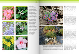 Il Libro Completo dei Fiori — Libro - 4