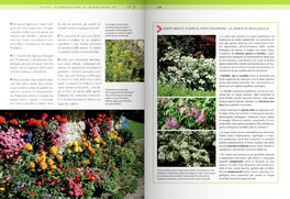 Il Libro Completo dei Fiori — Libro - 5
