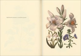 Il Libro dei Fiori — Libro - 3