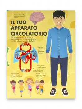 Il Libro dei Flip Flap - Corpo Umano — Libro - 3