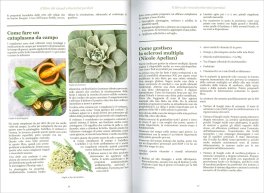 Il Libro dei Rimedi Erboristici Perduti — Libro - 3