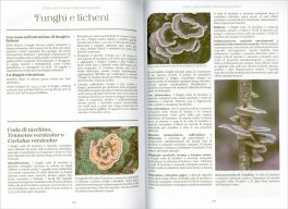 Il Libro dei Rimedi Erboristici Perduti — Libro - 5