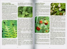 Il Libro dei Rimedi Erboristici Perduti — Libro - 4