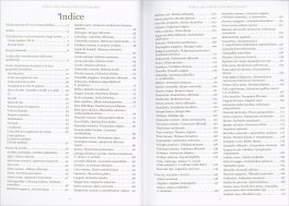 Il Libro dei Rimedi Erboristici Perduti — Libro - 6