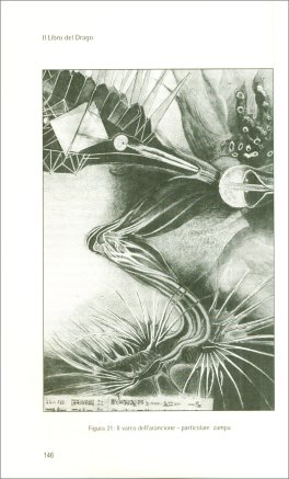 Il Libro del Drago — Libro - 3