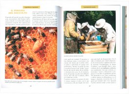 Il Libro del Miele — Libro - 3