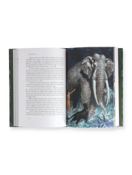 Il Libro della Giungla — Libro - 3