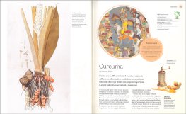 Il Libro delle Erbe — Libro - 3