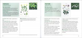 Il Libro delle Libere Erbe — Libro - 3
