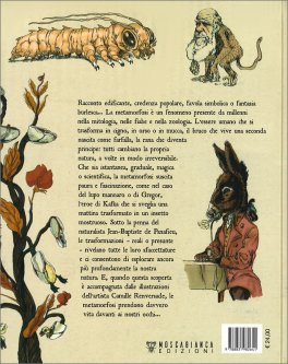 Il Libro delle Metamorfosi — Libro - 2