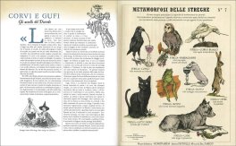 Il Libro delle Metamorfosi — Libro - 3