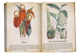 Il Libro delle Piante Magiche — Libro - 3