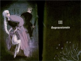 Il Libro delle Streghe Dimenticate — Libro - 3