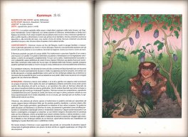 Il Libro dello Hakutaku — Libro - 3