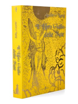 Il Libro Giallo delle Fate — Libro - 1
