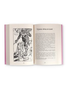 Il Libro Rosa delle Fate — Libro - 2