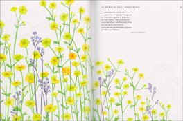 Il Libro Segreto degli Elfi d'Islanda — Libro - 3