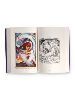 Il Libro Viola delle Fate — Libro - 4