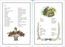 Il Linguaggio dei Fiori — Libro - 3