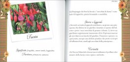 Il Linguaggio dei Fiori — Libro - 4