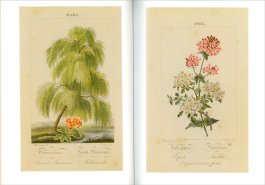 Il Linguaggio dei Fiori — Libro - 3
