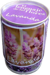 Il Linguaggio dei Fiori - Lavanda - Devozione