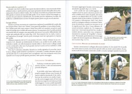 Il Linguaggio del Cavallo — Libro - 3