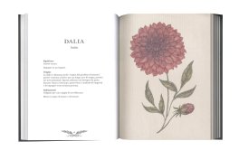 Il Linguaggio Segreto dei Fiori — Libro - 3