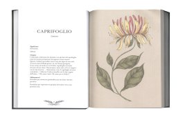 Il Linguaggio Segreto dei Fiori — Libro - 4