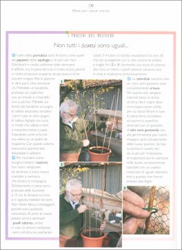 Il Maestro Giardiniere — Libro - 3
