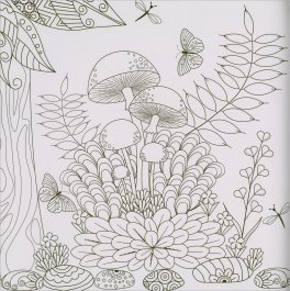 Il Magico Mondo dei Funghi — Libro - 4