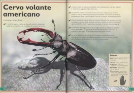Il Magnifico Libro degli Insetti e dei Ragni — Libro - 3