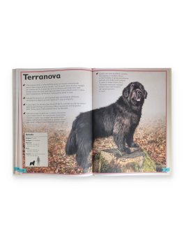 Il Magnifico Libro dei Cani — Libro - 3