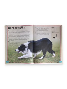 Il Magnifico Libro dei Cani — Libro - 2