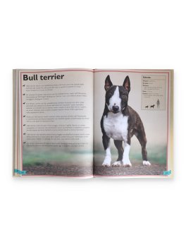 Il Magnifico Libro dei Cani — Libro - 4