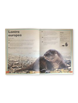 Il Magnifico Libro dei Cuccioli — Libro - 3