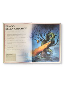 Il Magnifico Libro dei Draghi — Libro - 2