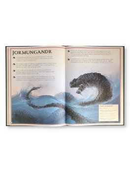 Il Magnifico Libro dei Draghi — Libro - 3