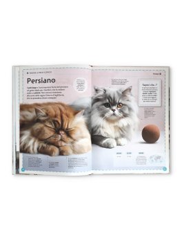 Il Magnifico Libro dei Gatti — Libro - 3