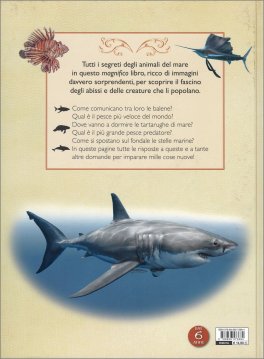 Il Magnifico Libro del Mare — Libro - 2