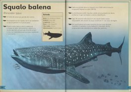 Il Magnifico Libro del Mare — Libro - 3