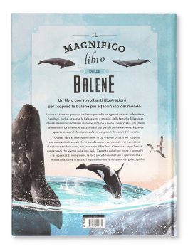 Il Magnifico Libro delle Balene — Libro - 4