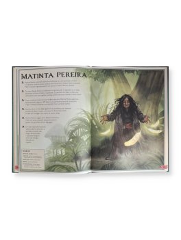 Il Magnifico Libro delle Streghe e dei Maghi — Libro - 4
