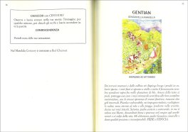 Il Mandala dei Fiori di Bach — Libro - 3