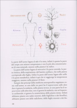 Il Manifestarsi dell'Invisibile nell'Essere Pianta — Libro - 4