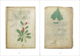Il Manoscritto Voynich — Libro - 3
