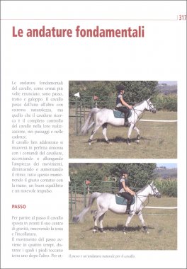 Il Manuale del Cavallo e del Cavaliere — Libro - 3