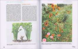 Il Manuale del Suolo Vivente — Libro - 3