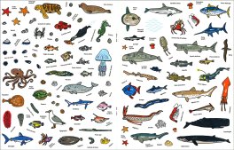 Il Mare — Libro - 4